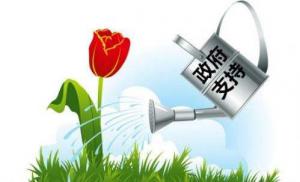 財政部：支持小微企業(yè)和“三農(nóng)”主體融資增信
